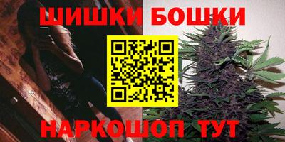 крисы Будённовск