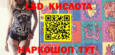 крисы Будённовск