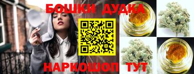крисы Будённовск
