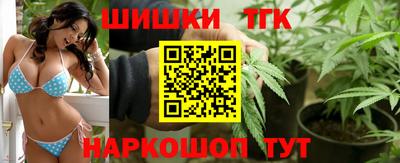 крисы Будённовск