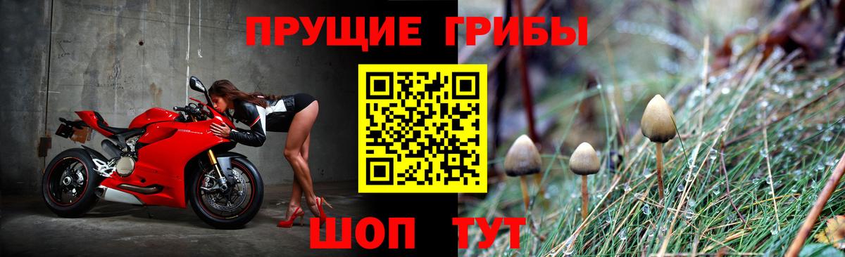 Нефтекамск  Псилоцибиновые грибы Psilocybine cubensis  Вход с VPN 