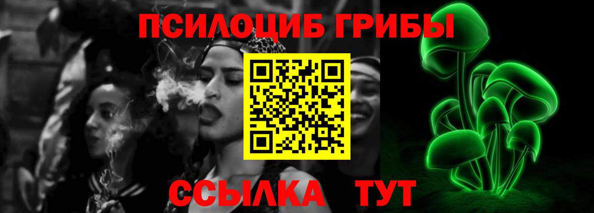 Псилоцибиновые грибы Psilocybine cubensis Нефтекамск